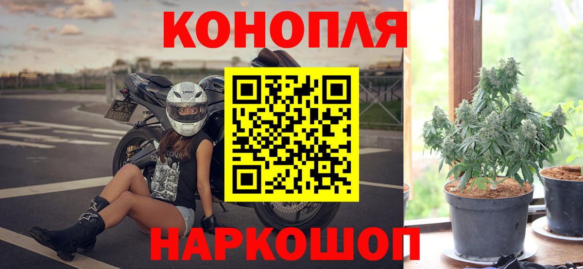 Конопля гибрид Воскресенск